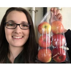 AMBROSIA APPLES 1KG Bag Hawkes Bay Grown